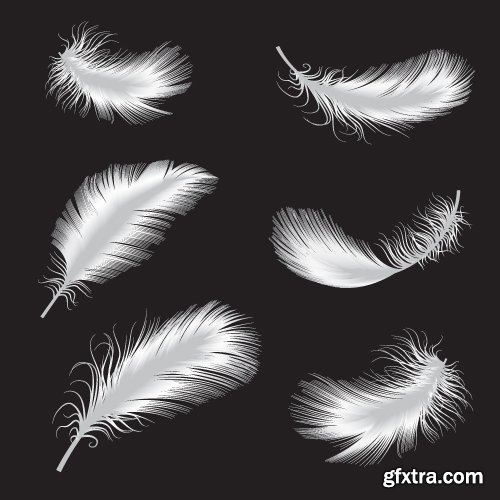 Collection of vector silhouettes picture feather feathers bird feather 25 Eps