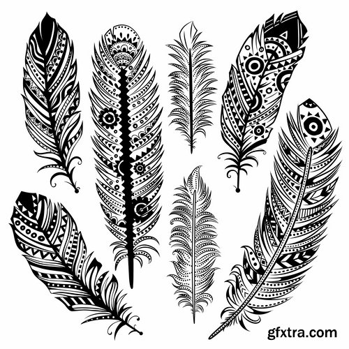 Collection of vector silhouettes picture feather feathers bird feather 25 Eps