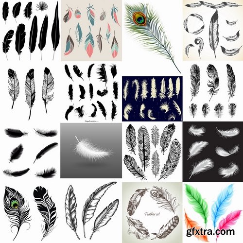 Collection of vector silhouettes picture feather feathers bird feather 25 Eps