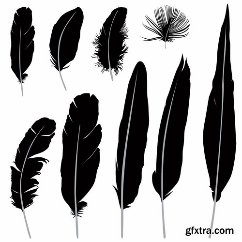 Collection of vector silhouettes picture feather feathers bird feather 25 Eps