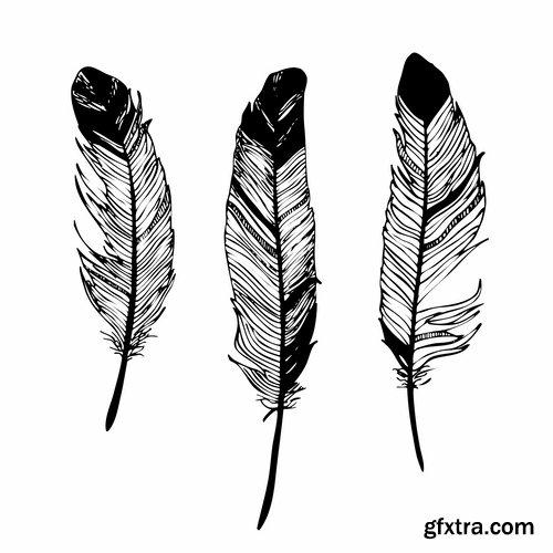 Collection of vector silhouettes picture feather feathers bird feather 25 Eps