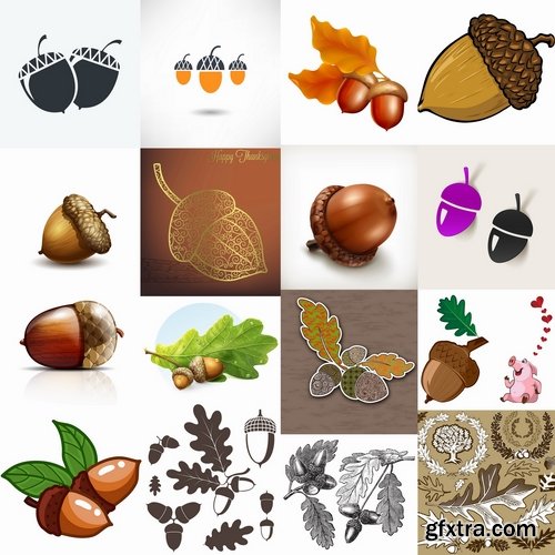 Collection of vector image oak acorn nut leaf 25 Eps