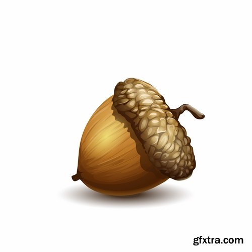 Collection of vector image oak acorn nut leaf 25 Eps