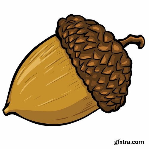 Collection of vector image oak acorn nut leaf 25 Eps