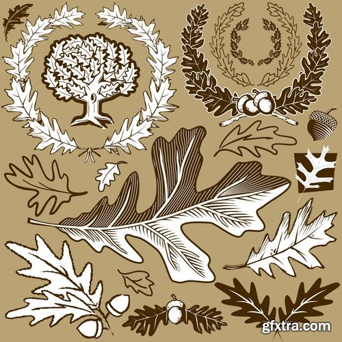 Collection of vector image oak acorn nut leaf 25 Eps