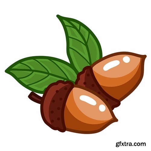 Collection of vector image oak acorn nut leaf 25 Eps