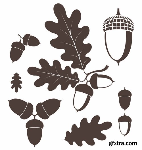 Collection of vector image oak acorn nut leaf 25 Eps