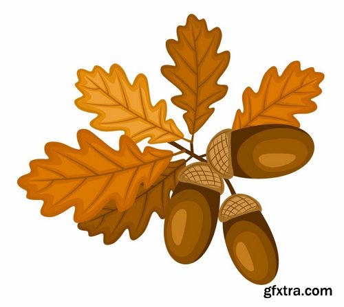 Collection of vector image oak acorn nut leaf 25 Eps