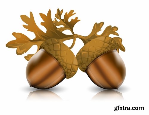 Collection of vector image oak acorn nut leaf 25 Eps