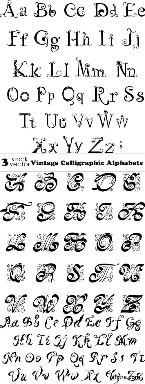 Vectors - Vintage Calligraphic Alphabets