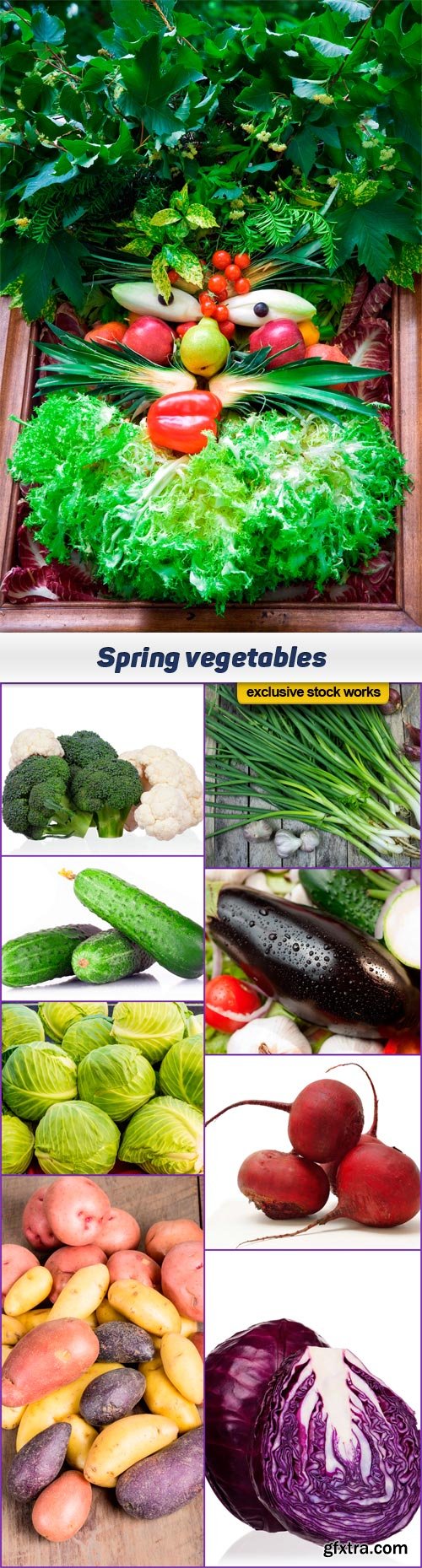 Spring vegetables 9x JPEG