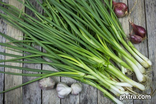 Spring vegetables 9x JPEG