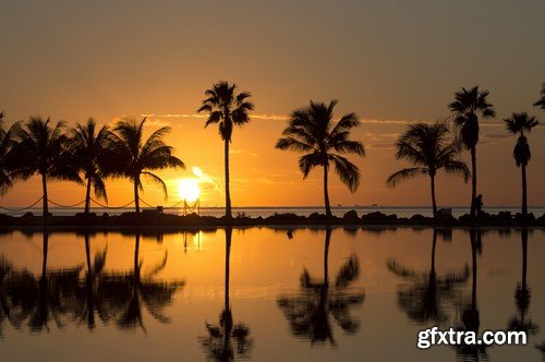 Beach sunset