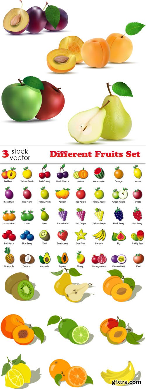 Vectors - Different Fruits Set