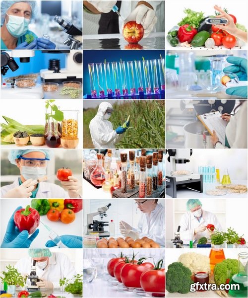 Collection of chemical research laboratory food food products research 25 HQ Jpeg