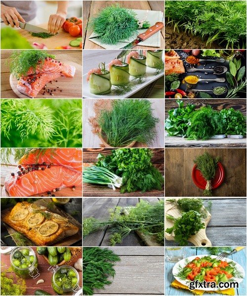 Collection of food with dill fennel greens different food 25 HQ Jpeg