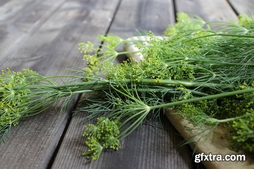 Collection of food with dill fennel greens different food 25 HQ Jpeg