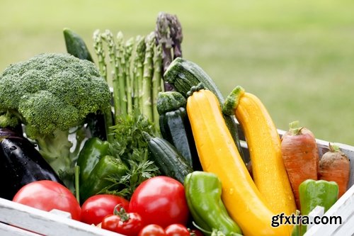 Collection of vegetables fruits farming gardening bed field illustration vegetable still life 25 HQ Jpeg