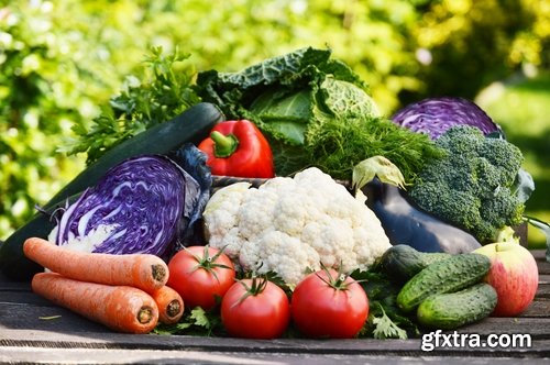 Collection of vegetables fruits farming gardening bed field illustration vegetable still life 25 HQ Jpeg