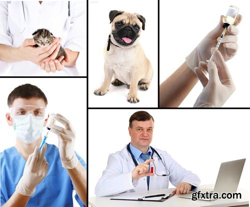 Vet and animals 10x JPEG