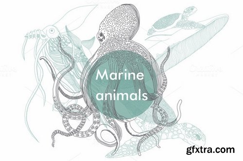 CM - Marine animals 51032