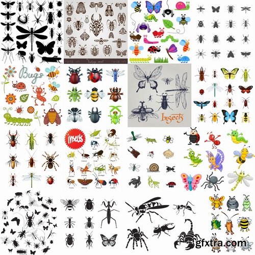 Collection of vector insects picture beetle butterfly caterpillar dragonfly spider 25 Eps