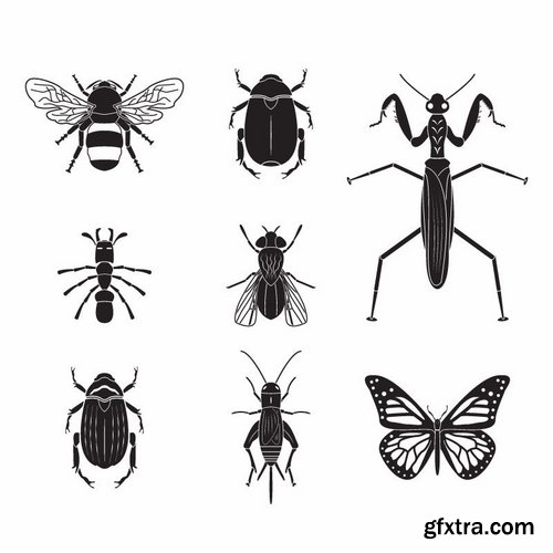 Collection of vector insects picture beetle butterfly caterpillar dragonfly spider 25 Eps