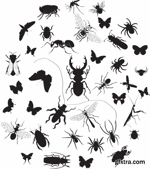 Collection of vector insects picture beetle butterfly caterpillar dragonfly spider 25 Eps