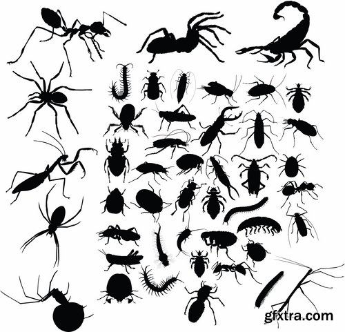 Collection of vector insects picture beetle butterfly caterpillar dragonfly spider 25 Eps