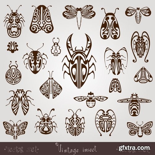 Collection of vector insects picture beetle butterfly caterpillar dragonfly spider 25 Eps