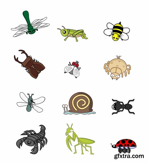 Collection of vector insects picture beetle butterfly caterpillar dragonfly spider 25 Eps