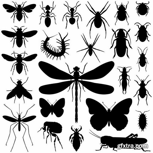 Collection of vector insects picture beetle butterfly caterpillar dragonfly spider 25 Eps