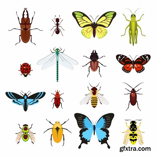 Collection of vector insects picture beetle butterfly caterpillar dragonfly spider 25 Eps