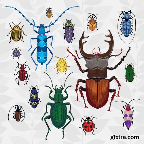 Collection of vector insects picture beetle butterfly caterpillar dragonfly spider 25 Eps