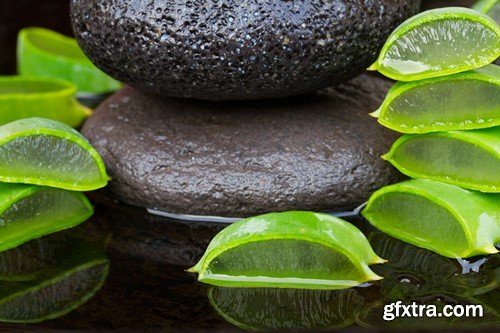 Aloe Vera orchid the spa treatment 8x JPEG