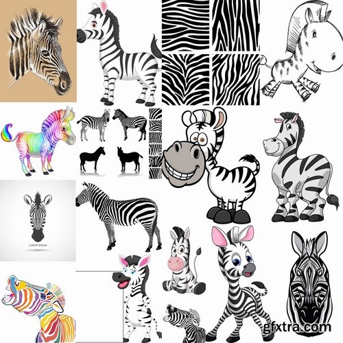 Collection of vector illustration picture zebra African animals black and white skin 25 Eps