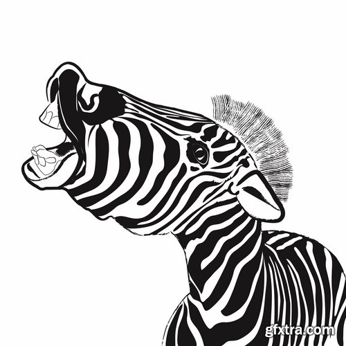 Collection of vector illustration picture zebra African animals black and white skin 25 Eps