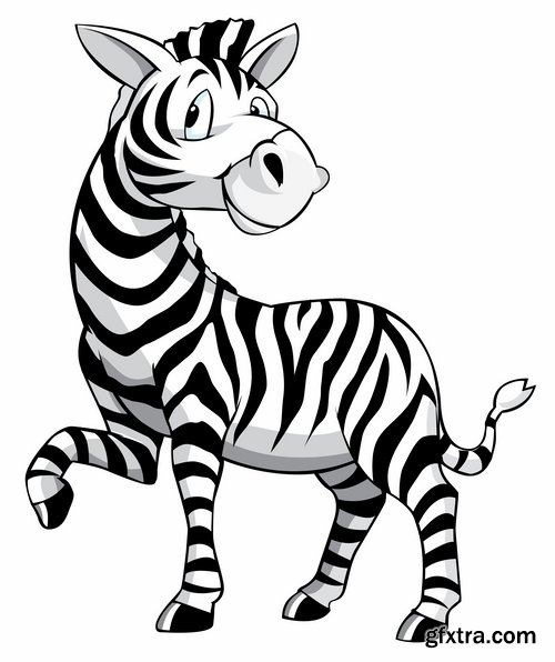 Collection of vector illustration picture zebra African animals black and white skin 25 Eps