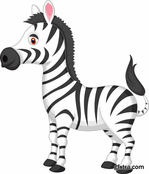 Collection of vector illustration picture zebra African animals black and white skin 25 Eps