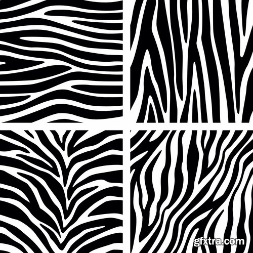 Collection of vector illustration picture zebra African animals black and white skin 25 Eps