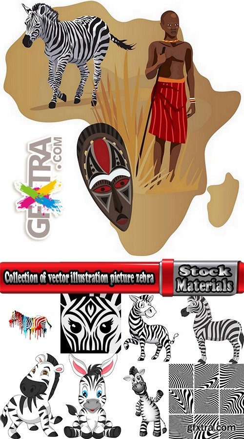 Collection of vector illustration picture zebra African animals black and white skin 25 Eps