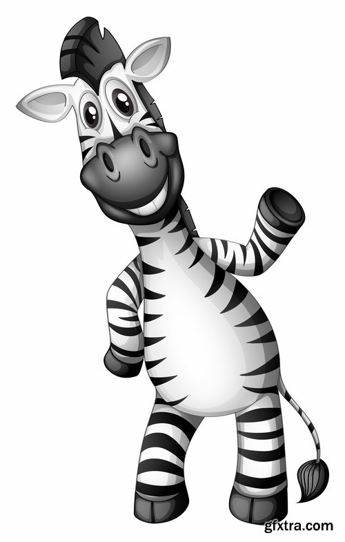 Collection of vector illustration picture zebra African animals black and white skin 25 Eps