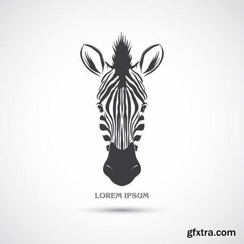 Collection of vector illustration picture zebra African animals black and white skin 25 Eps