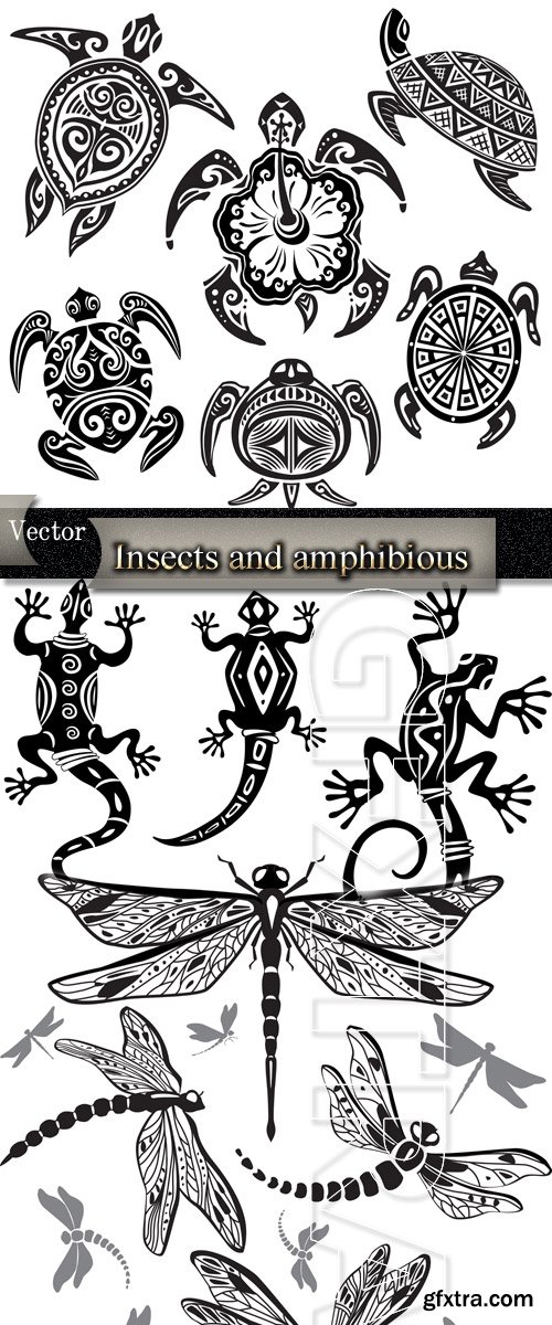 Vector - Insects and amphibious