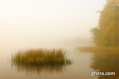 Collection of the most beautiful pond bulrush cane seed fluff sunset lake river reeds 25 HQ Jpeg