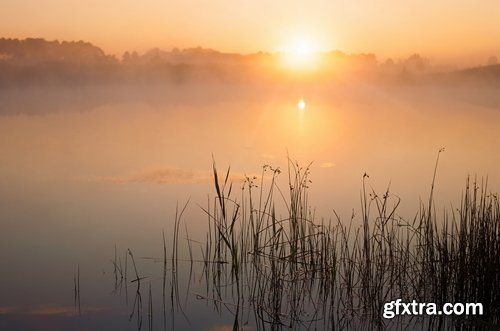 Collection of the most beautiful pond bulrush cane seed fluff sunset lake river reeds 25 HQ Jpeg