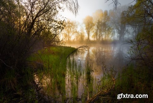 Collection of the most beautiful pond bulrush cane seed fluff sunset lake river reeds 25 HQ Jpeg