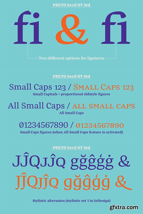 Preto Serif Ot STD Font Family - 8 Fonts $400