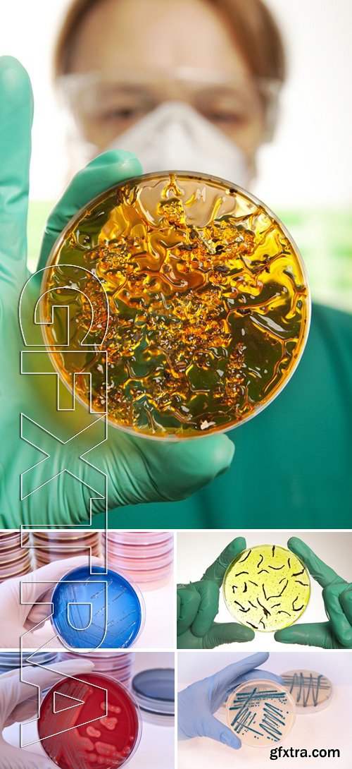 Stock Photos - Scientist holding a petri dish with virus cells