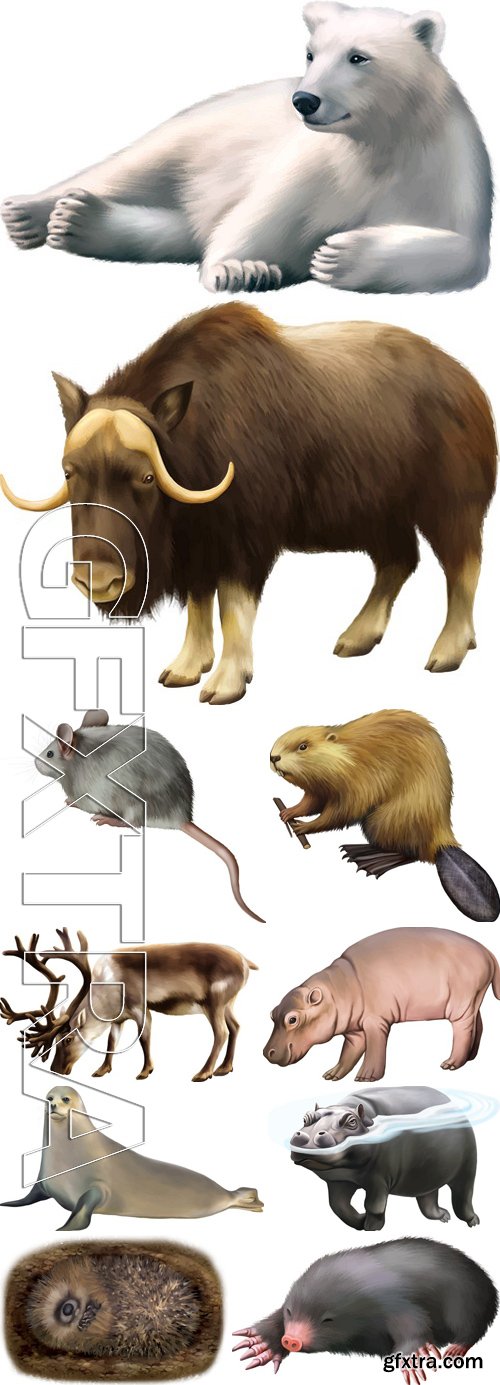 Stock Vectors - Different Animals 5